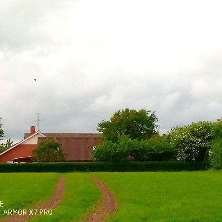 Lilleledgaard Country House Ringkobing Bagian luar foto
