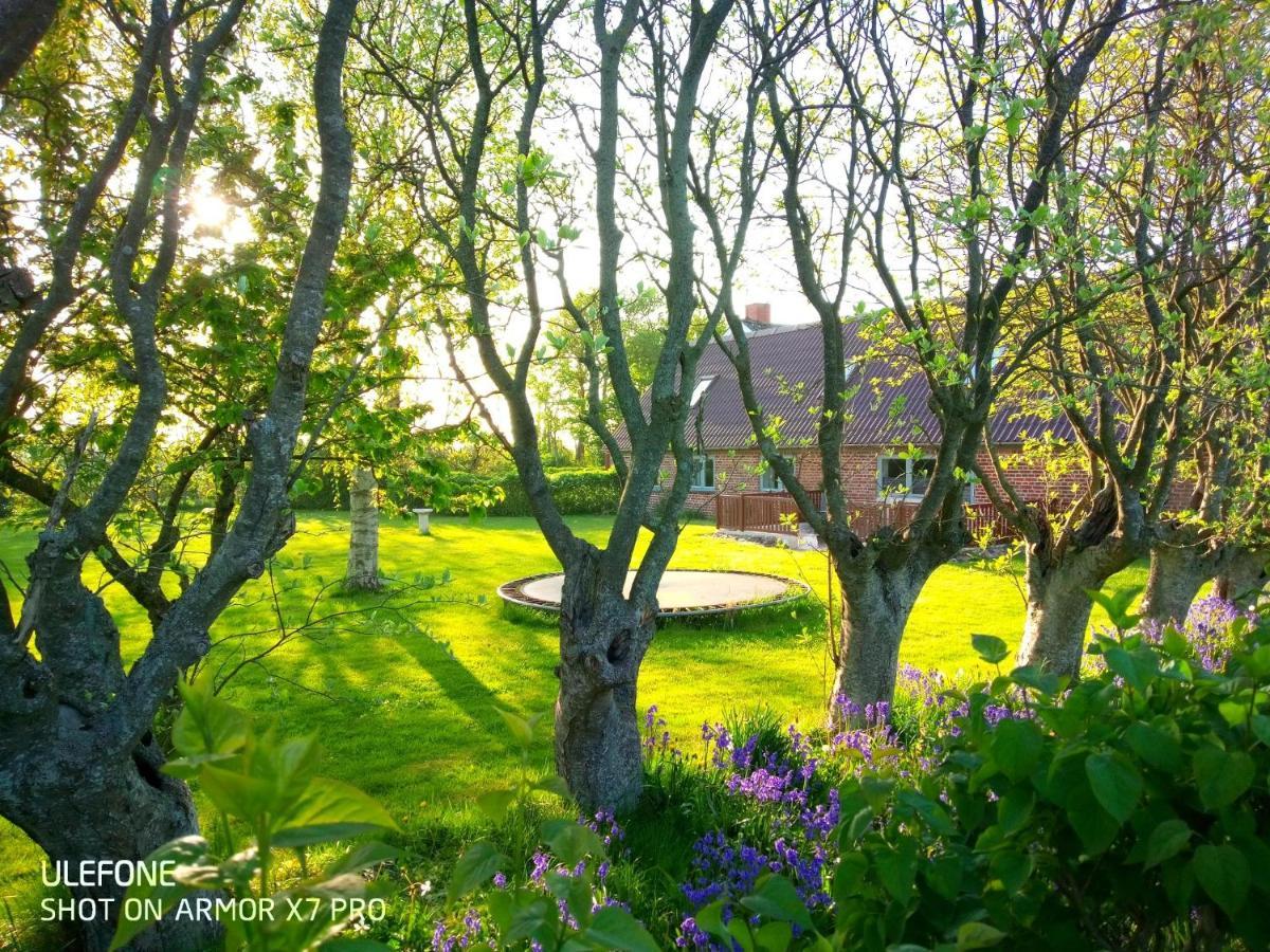 Lilleledgaard Country House Ringkobing Bagian luar foto