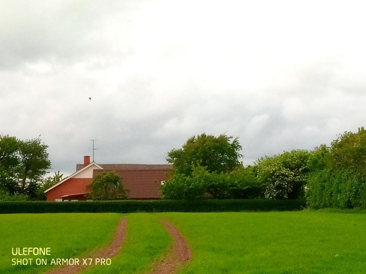 Lilleledgaard Country House Ringkobing Bagian luar foto